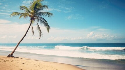 Obraz premium relaxation palm trees beach