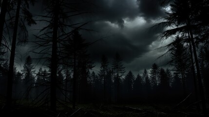 Fototapeta premium clouds dark forest silhouette