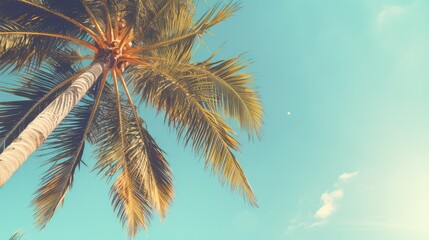 dreamy palm tree retro