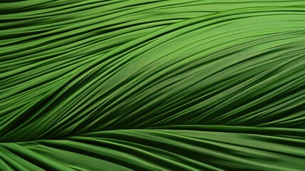 Obraz premium fabric palm leaf outline
