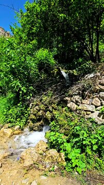 Walking through the lush green trails of Selin village feels like stepping into a hidden paradise &mdash; where nature whispers peace and time slows down.
📍Selin, Hawraman Takht - Kurdistan 