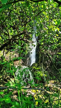 Serene waterfall cascading through lush greenery, a hidden gem in nature's embrace.
📍Selin, Hawraman Takht - Kurdistan 