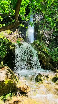 Serene waterfall cascading through lush greenery, a hidden gem in nature's embrace.
📍Selin, Hawraman Takht - Kurdistan 