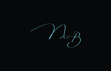 A minimal yet stylish depiction of white cursive lettering forming NB on a dark background, symbolizing elegance and simplicity.