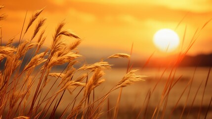 Naklejka premium natural simple background gold