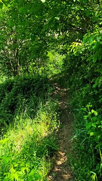 Walking through the lush green trails of Selin village feels like stepping into a hidden paradise &mdash; where nature whispers peace and time slows down.
📍Selin, Hawraman Takht - Kurdistan 