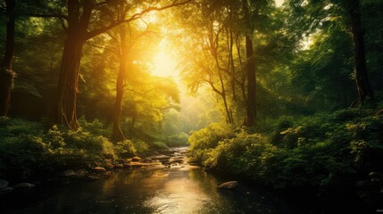 Obraz premium sunlight greenery gold