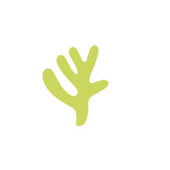 abstract coral shape