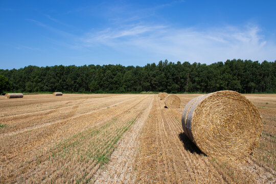 Picturesque rural landscape featuring hay bales in a freshly harvested wheat field at sunset.