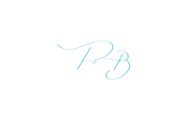 A minimal yet stylish depiction of white cursive lettering forming PB on a dark background, symbolizing elegance and simplicity.