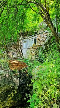 Walking through the lush green trails of Selin village feels like stepping into a hidden paradise &mdash; where nature whispers peace and time slows down.
📍Selin, Hawraman Takht - Kurdistan 