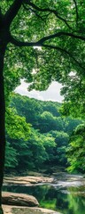 Fototapeta premium A serene forest landscape featuring lush green trees and a tranquil river, showcasing the beauty of nature.