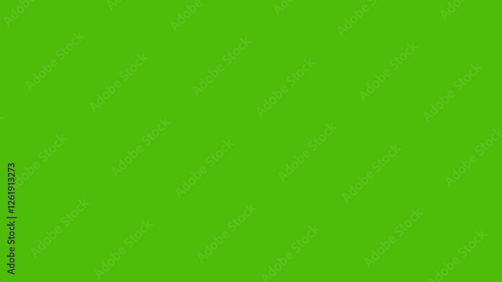 Poster graphic shape firework element on green background, fireworks animation with alpha channel