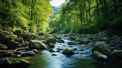 Obraz premium green eco water