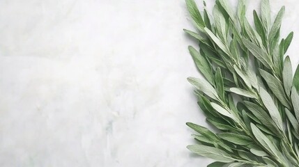Green Leaves on Grey Marble Background