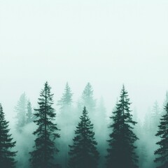 Misty Mountain Forest with Teal and Green Pine Trees