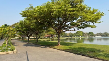 Obraz premium Nature Park Garden in the city 