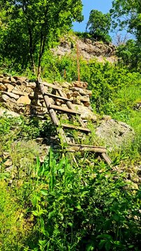 Springtime hiking in Selin village offers stunning green landscapes, fresh air, and a perfect chance to reconnect with nature in the heart of Kurdistan.
📍Selin (Slene), Hawraman Takht - Kurdistan 
