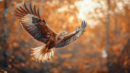 An eagle soaring through the sky symbolizes freedom, strength, and vision, embodying power and independence with its wings spread wide, soaring high above in a bright and modern atmosphere