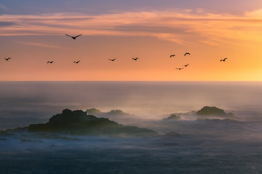 Sunset over the ocean with pelicans flying above Point Lobos rocks and dreamy waves. Orange and yellow sunset sky.