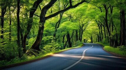 Obraz premium decision road splits