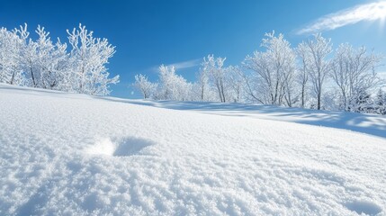 Obraz premium Frosty Winter Wonderland with Sparkling Snow and Icy Trees