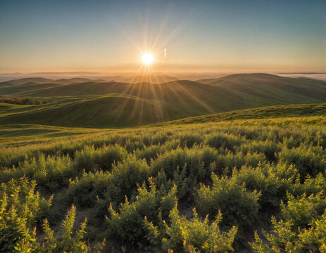 Morning sun bursting through cloudbank