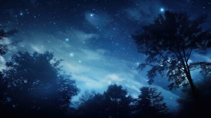 Fototapeta premium stars night sky with trees