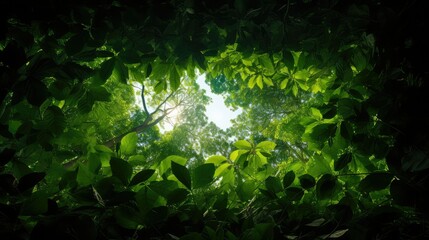Obraz premium foliage green leaf frames