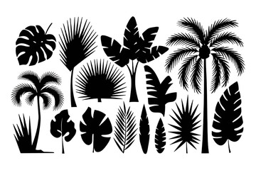 Black Silhouettes of Tropical Leaves, Palms & Trees – High-Quality PNG