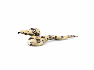 Miniature python toy with white background