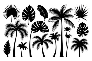 Fototapeta premium Black Silhouettes of Tropical Leaves, Palms & Trees – High-Quality PNG