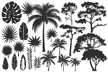 Black Silhouettes of Tropical Leaves, Palms & Trees – High-Quality PNG