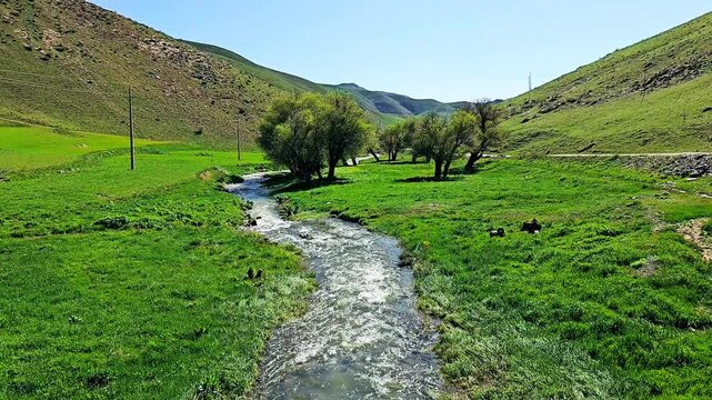Gentle stream winding through lush green valley with trees under blue sky.
📍Marivan - Kurdistan 