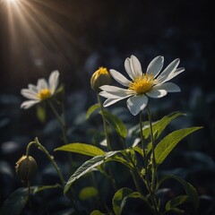A flower blooming with light instead of petals.