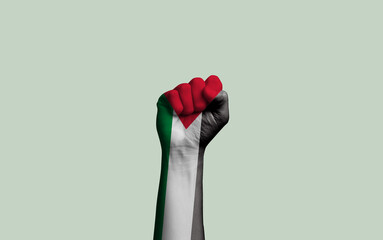 Raised fist hand over with Palestine flag