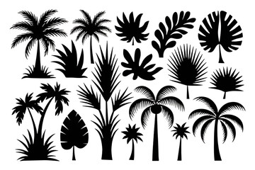 Black Silhouettes of Tropical Leaves, Palms & Trees – High-Quality PNG