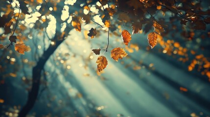A tranquil autumn scene with fallen leaves on the ground and trees. A serene setting for relaxation or nature appreciation.