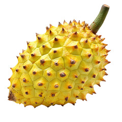 Ripe Yellow Soursop Fruit on White Background
