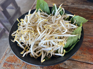 fresh green bean sprouts in white plate