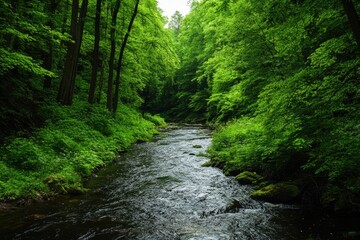 Obraz premium Peaceful nature scene with winding creek in woodland setting