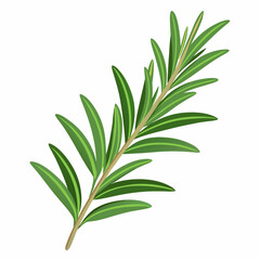 sprig of rosemary