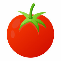 tomato on a white background