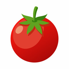tomato on a white background
