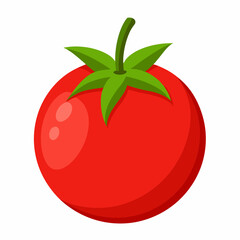 tomato on a white background