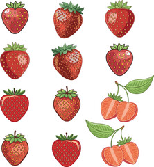 Fresh Fruit vector