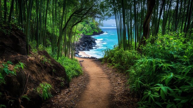 Scenic pathway through bamboo forest leading to a breathtaking beach view wallpaper