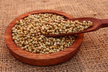 Coriander seeds (Coriandrum sativum) in a wooden bowl and some scattered around it, close up view.