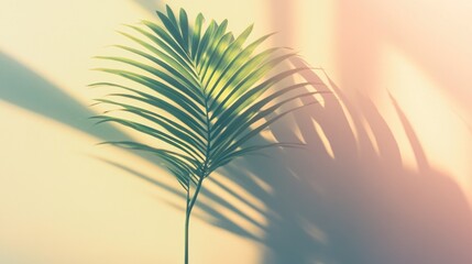 Digital illustration of a tropical palm tree shadow on a wall at sunset.