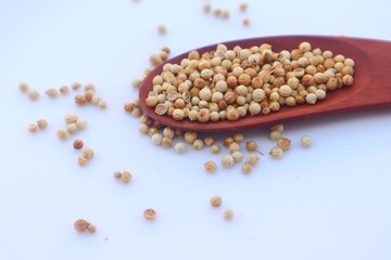 Coriander seeds (Coriandrum sativum) in a wooden spoon and some scattered around it, close up view.